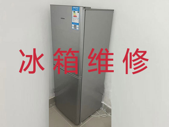 台州冰箱冰柜维修